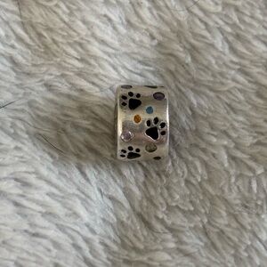 Silver Paw Print Charm for Pets